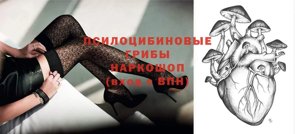 гашик Каменка