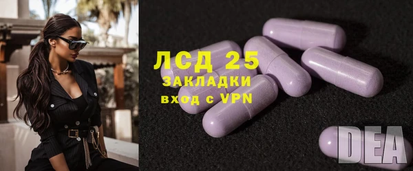 гашик Каменка