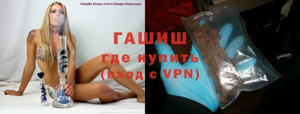 гашик Каменка