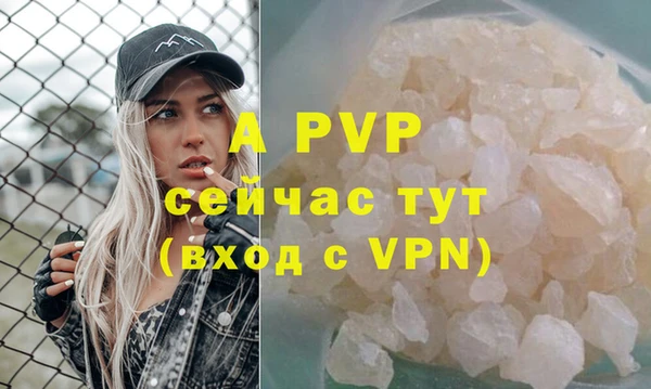 гашик Каменка