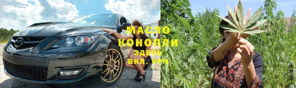 гашик Каменка