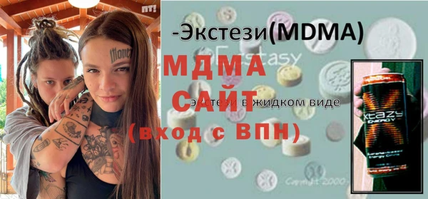гашик Каменка