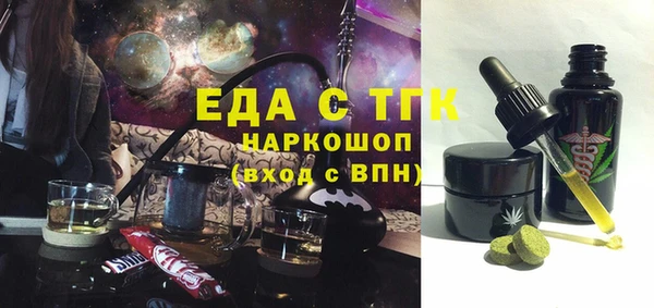 гашик Каменка