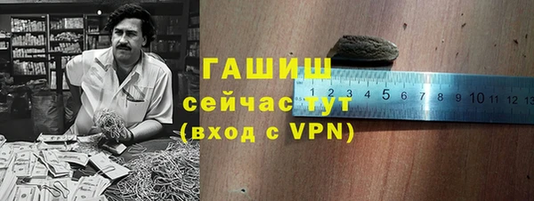 гашик Каменка