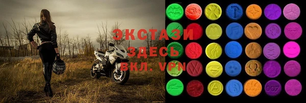 гашик Каменка