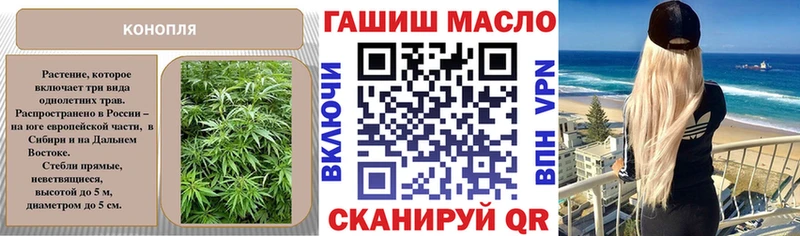 ТГК концентрат  Купить закладки  Вязники 